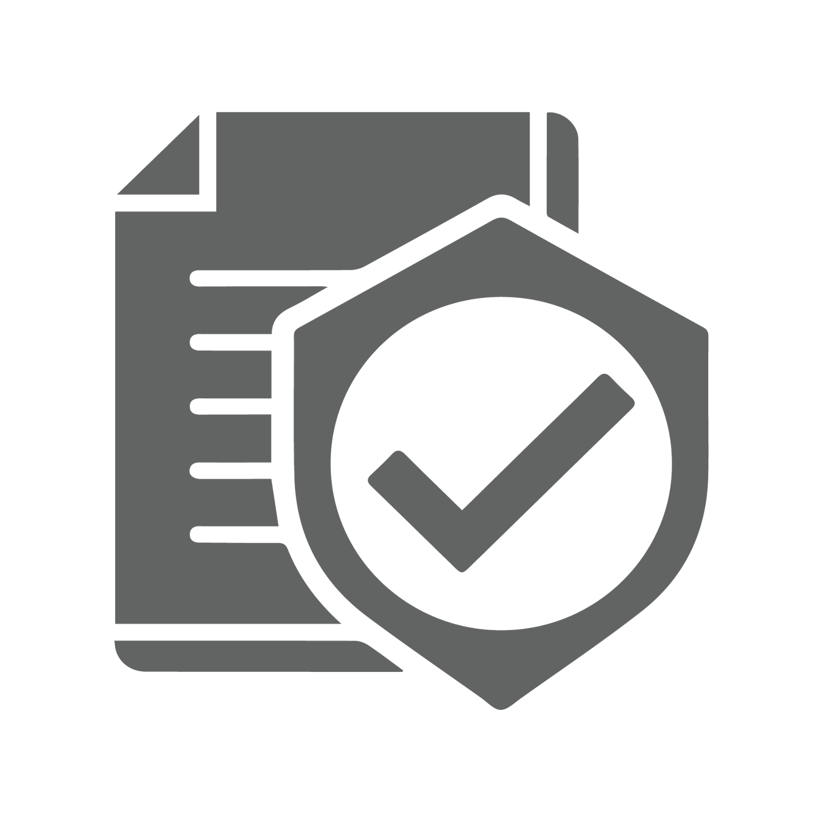 High Quality  Professional  factory